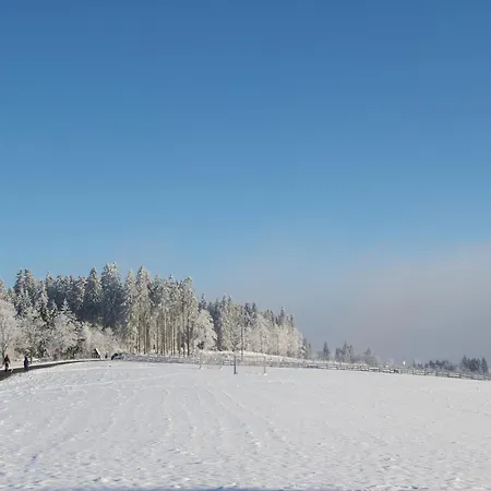 Welcome In - Gerenoveerde Op 200 Meter De Skipiste - Neuastenbergerstrasse 4